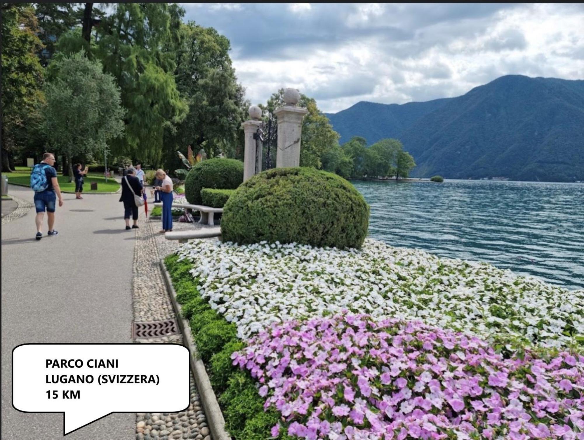 Ca Rosina Casavacanze Brusimpiano Exteriér fotografie